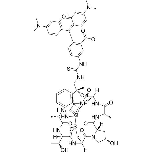 Phalloidin-TRITC 915013-10-4